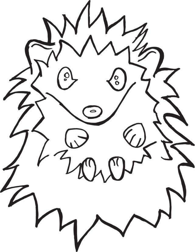 Hedgehog-Spirit-Animal